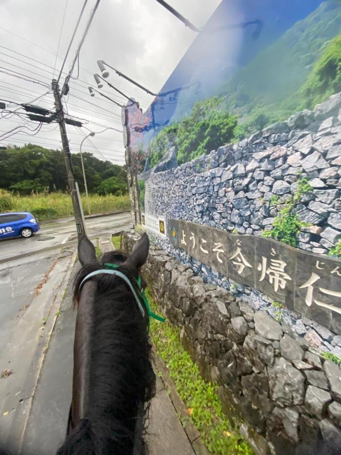 Muumin Farm Villa Nakijin Exterior photo