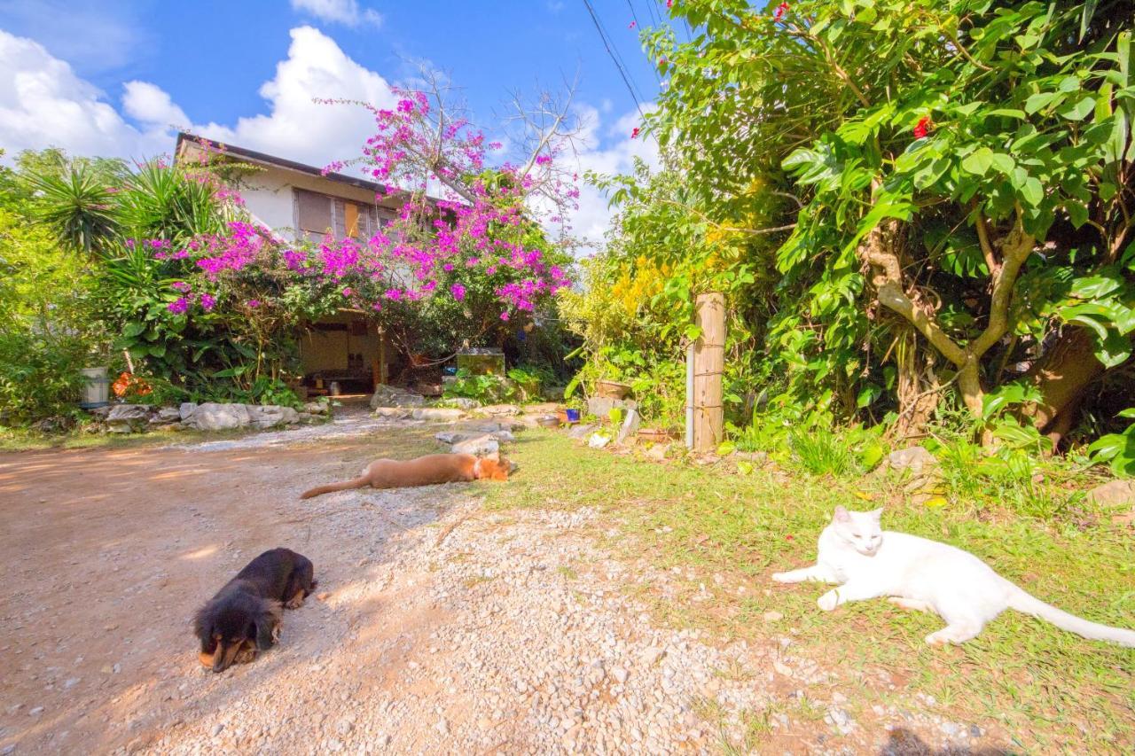 Muumin Farm Villa Nakijin Exterior photo